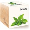Feel Green Ecocube Minze, Idea Regalo sostenibile (100% Eco Friendly), Grow Your Own/Set di Coltivazione, Piante nel Dado in Legno, Made in Austria