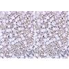 Graziano Sprinkles per dolci Silver 50g (Confezione da 2)