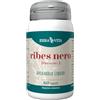 ERBA VITA Integratore Alimentare di Ribes nero (Ribes Nigrum) - 60 Capsule - Utile al benessere delle vie urinarie, delle articolazioni e di naso e gola