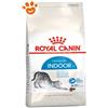Royal Canin Cat Home Life Indoor - Sacco Da 10 Kg
