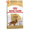 Royal Canin Dog Adult Cocker - Sacco Da 12 Kg