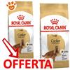Royal Canin Dog Adult Cocker - Offerta [PREZZO A CONFEZIONE] Quantità Minima 2, Sacco Da 12 Kg