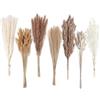 ANPROOR 128 pezzi di erba di pampa secca con coda di coniglio, bouquet di erba di canna, per matrimoni, fiori boho, decorazione per la casa, feste rustiche