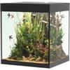 Askoll OPERA AQUARIUM 80 BLACK