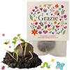 Ideenverlag HAMBURG 10x Grazie bombe di semi - regalino e piccolo omaggio - bombe di fiori come regalo di ringraziamento per colleghi, ospiti & bambini - semi di fiori & sfere di fiori come dono di ringraziamento