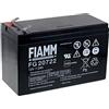 FIAMM Batteria ricaricabile da cambio per USV APC Back-UPS RS 500