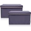 LIFENEY Set di 2 contenitori per bambini (37 x 25 x 21 cm), cestino portaoggetti per cameretta dei bambini (antracite)
