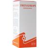 Drenadrops Soluzione Idroalcolica 100 Ml ml Gocce orali