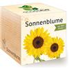 Feel Green Ecocube Girasole Certificato Biologico, Idea Regalo sostenibile (100% Eco Friendly), Set di Coltivazione, Piante in cubo di Legno, Made in Austria