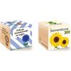 Feel Green Celebrations Ecocube, Semi di Fiordaliso Biologico & Ecocube Girasole Certificato Biologico, Idea Regalo sostenibile, Set di Coltivazione