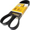 CONTITECH 6PK1675 Cinghia servizi
