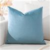 Artscope Federe Cuscini in Velluto Minimalista Copricuscino Colorato per la Decorazione Domestica Soggiorno Camera da Letto Divano 45x45cm, Azzurro