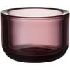 Iittala Portacandela Antivento, Argento, 3