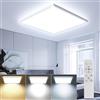 OTREN Plafoniera LED Soffitto Dimmerabile, 3000K-65000K Lampadario Bagno con Telecomando, IP44 Impermeabile Luce Soffitto per Camera da Letto Soggiorno Corridoio Ufficio, 30CM, Bianco