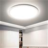 EASY EAGLE Plafoniera LED Soffitto, 4000K Lampadario LED Bagno, Moderna Lampada Soffitto Luce per Camera da Letto Bagno Cucina Soggiorno 18W 22CM