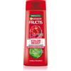 Garnier Fructis Color Resist 250 ml