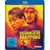 Studiocanal (PLAION PICTURES) Gefährliche Brandung - Point Break
