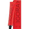 Schwarzkopf Professional Tinte per capelli Igora Royal BoosterPermanent Color Cream 0-89 concentrato rosso viola 60 ml (185,17 € / 1 l)