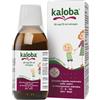 Schwabe Pharma Italia Kaloba Sciroppo Adulti e Bambini 100ml 20mg/7.5 ml