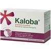 Schwabe Pharma Italia Kaloba Granulato 21 Bustine 800mg