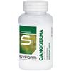 Ganoderma 100 capsule