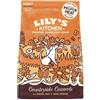 Lily's Kitchen Dog Secco Adult Countryside Casserole 12kg