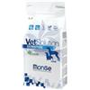 Monge Vet Solution Dog Dermatosis 12kg