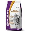 Gemon Cat Adult Pollo e Tacchino 2kg