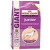 ROYAL CANIN ITALIA SpA Giant Junior - 15KG
