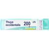 Thuya Boiron Thuya Occidentalis 200 Ch Granuli 4 g