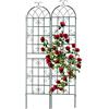 Relaxdays Grigliati per Rampicanti, Set da 2, HxL 220 x 50 cm, Supporti in Metallo per Piante Tralicci a Incastro, Verde, Ferro