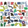 Classic Magnets Collezione completa di magneti con mappa dello stato