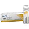 Herpes Simplex Guna Comp Guna Herpes Simplex Compositum 1 Contenitore Multid 4 G 80 Granuli g