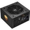 Sharkoon Alimentatore 750W Sharkoon Rebel P20 Nero [4,04495E+12]