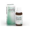BIOLOGISCHE HEILM. HEEL GMBH COLOCYNTHIS HOMACCORD Gocce 30ML