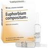 Guna Heel Euphorbium Compositum Medicinale Omeopatico 10 Fiale