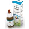 Guna Fiori di Bach Centaury Generosità Gocce 10 Ml