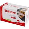 SHIITAKE ESTRATTO SECCO 60CPS