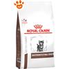 Royal Canin Cat Veterinary Diet Gastrointestinal Kitten - Sacco da 400 Gr