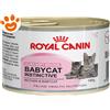 Royal Canin Cat Mother & BabyCat - Lattina da 195 Gr