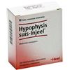 Hypophysis Guna Heel Hypophysis Suis Injeel 10 Fiale pz