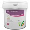 Bioges Mico-Green da 2,5 kg - micorrize in Polvere