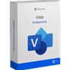 Microsoft Visio Professional, Anno 2013