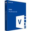 Microsoft Visio Professional, Anno 2019