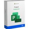 Microsoft Project Professional, Anno 2010