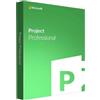 Microsoft Project Professional, Anno 2021