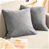 Blumtal Federe Cuscini Divano in Ciniglia, Copricuscini Divano, Federe Cuscino Divano, 2 Pezzi, 60 x 60cm, Grigio