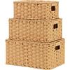 GRANNY SAYS Cestini portaoggetti con coperchio, set da 3 cestini vimini decorativi, robusti cesti con manici, cestino intrecciato per organizzare, cestino con coperchio per bagno, soggiorno, Giallo