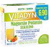 PHYTO GARDA Srl VITADYN MAGNESIO POTASSIO ALKALINO SENZA ZUCCHERO 10 BUSTINE