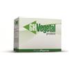 GH Protein GH Vegetal Protein al Cacao - 20 bustine